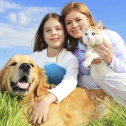 5 Pet Care Tips