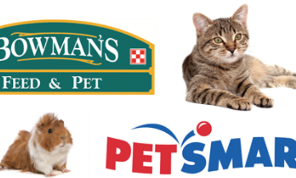 Adoption Partner Success Adoption Partner Success