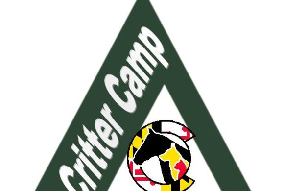My Critter Camp Experience My Critter Camp Experience