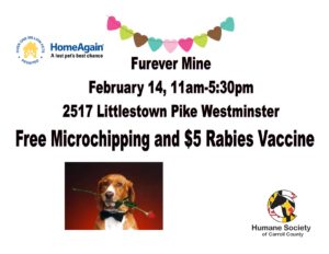 Furever Mine @ Humane Society of Carroll County | Westminster | Maryland | United States
