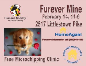 Furever Mine @ Humane Society of Carroll County