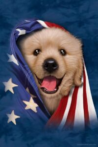 Shelter Closed for Independence Day