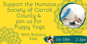 Puppy Yoga with Brittany Edie @ Humane Society of Carroll County | Westminster | Maryland | United States