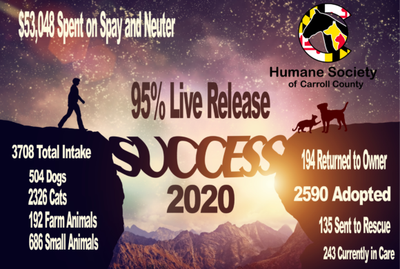 2020 Statistics 2020 Statistics