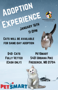Adoption Experience- Frederick @ PetSmart Frederick