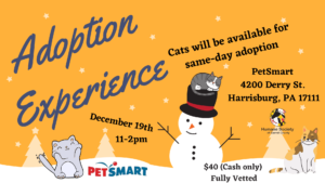 Adoption Experience @ Harrisburg PetSmart | Harrisburg | Pennsylvania | United States