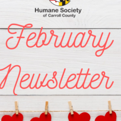 February HSCC Newsletter