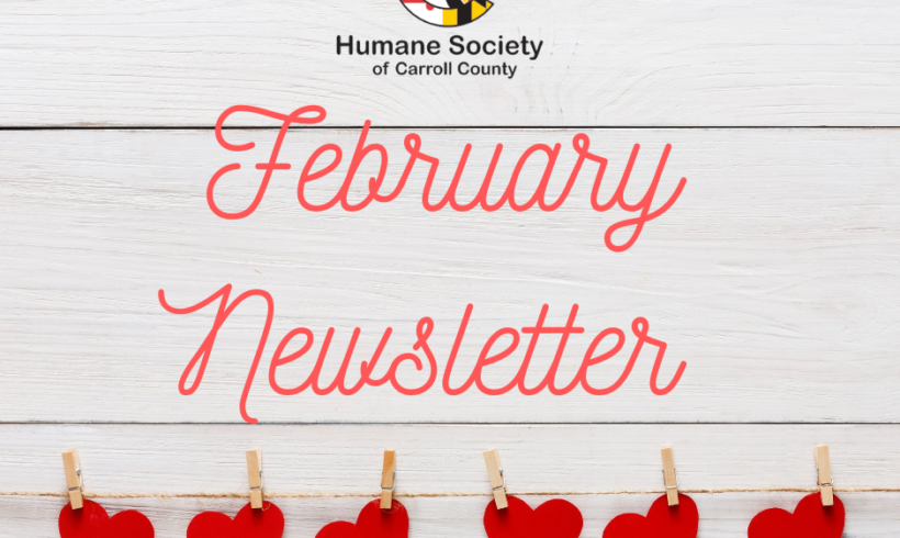 February HSCC Newsletter