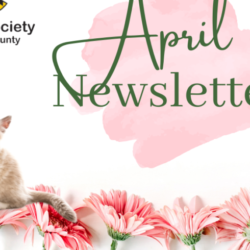 April HSCC Newsletter