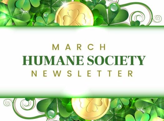 March HSCC Newsletter