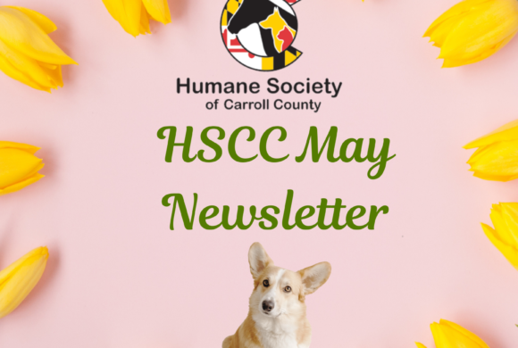 HSCC May Newsletter