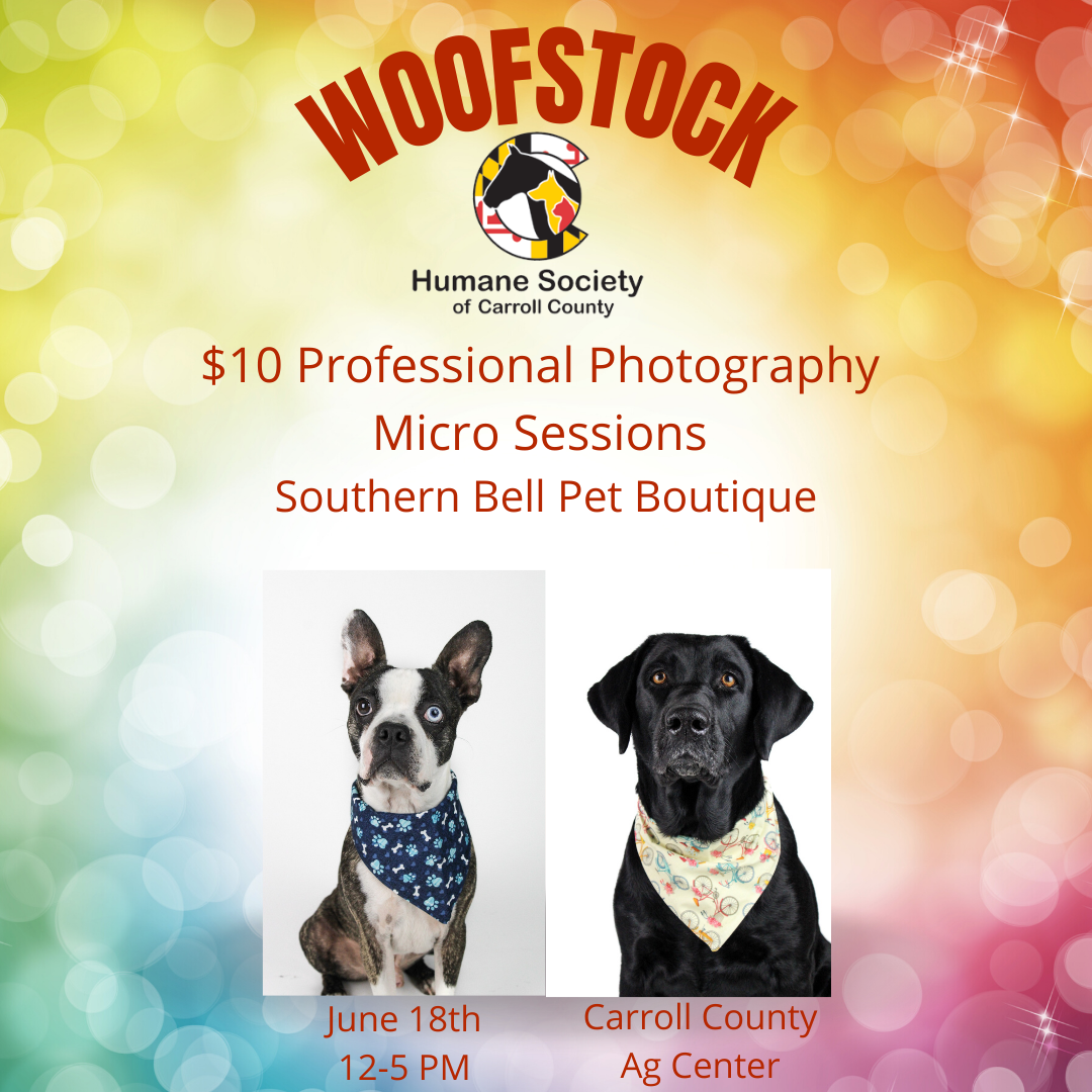 Pet Micro Photography Sessions at Woofstock - Humane Society of Carroll  County