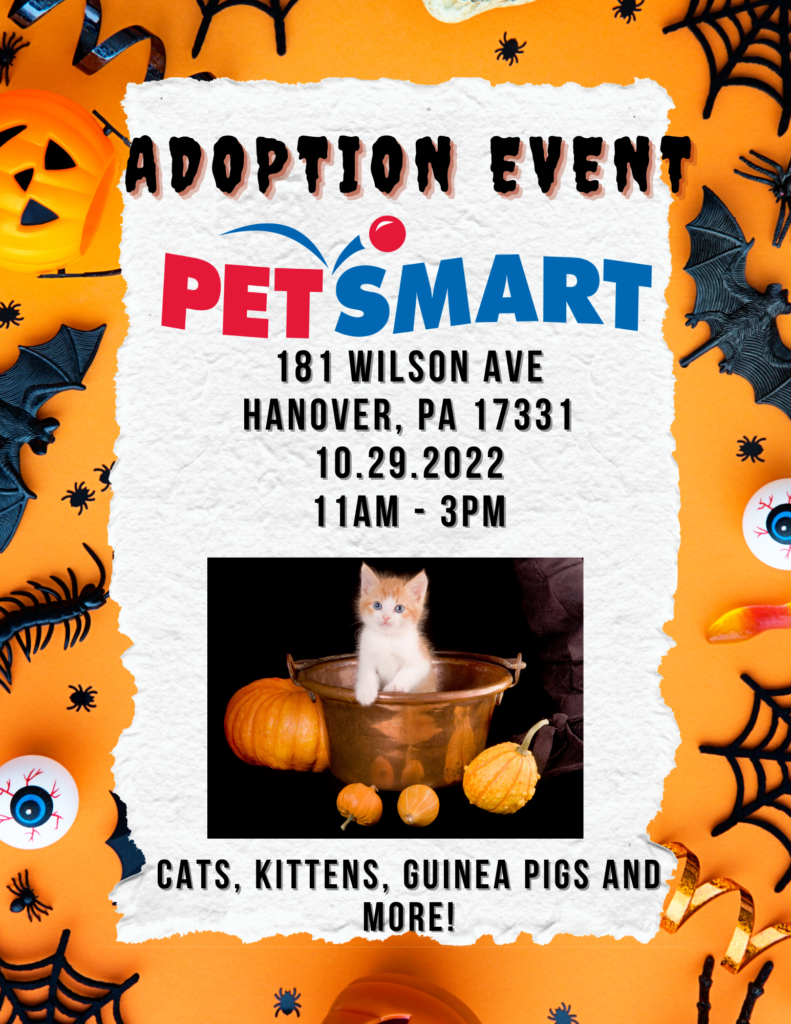 Adoption Event at Hoover PetSmart — GBHS
