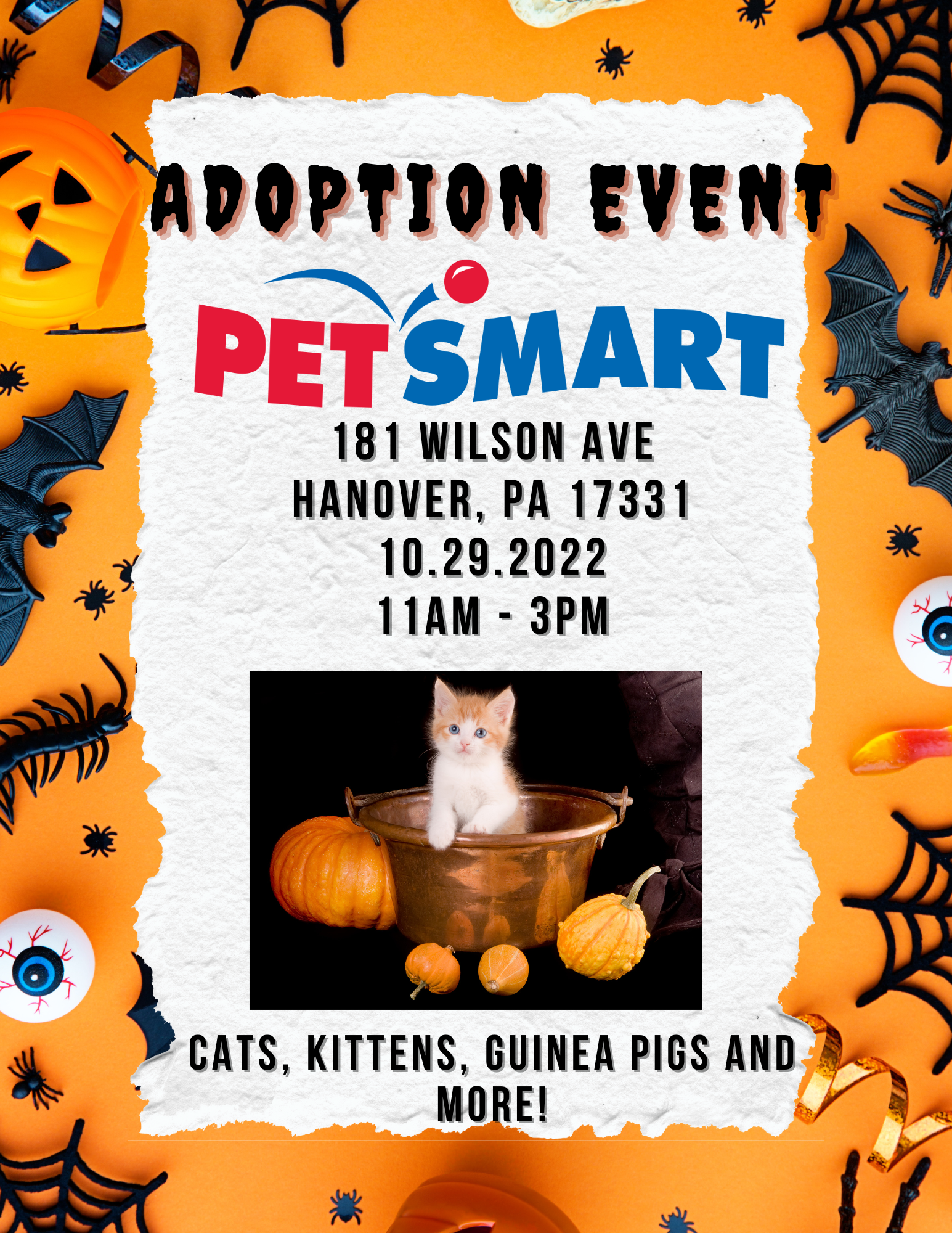 Petsmart Is hosting A Pet Adoption Event Saturday In Lawton