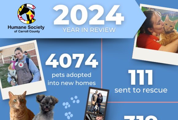 2024 Humane Society of Carroll County Statistics