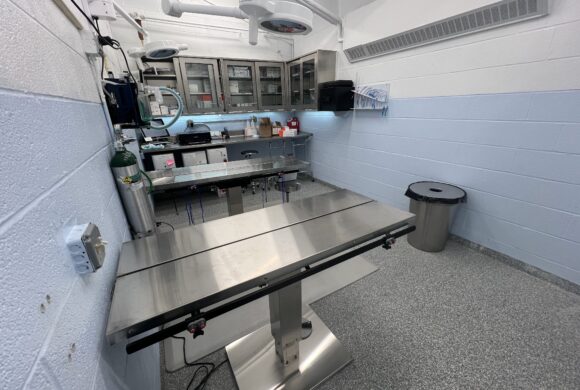 Humane Society of Carroll County Announces Opening of Surgical Suite