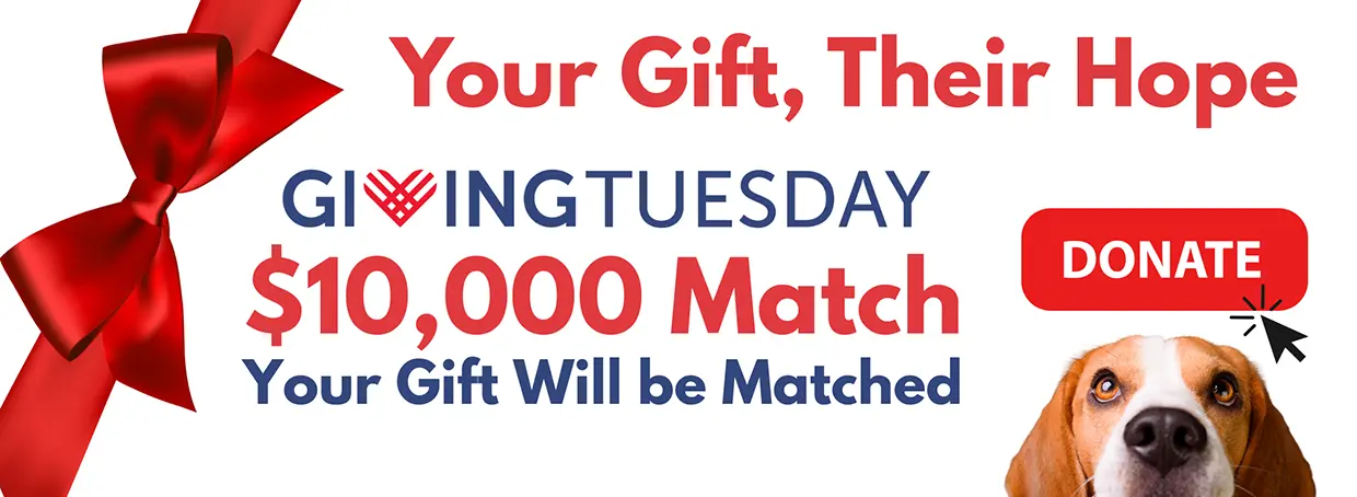Giving Tuesday 2025